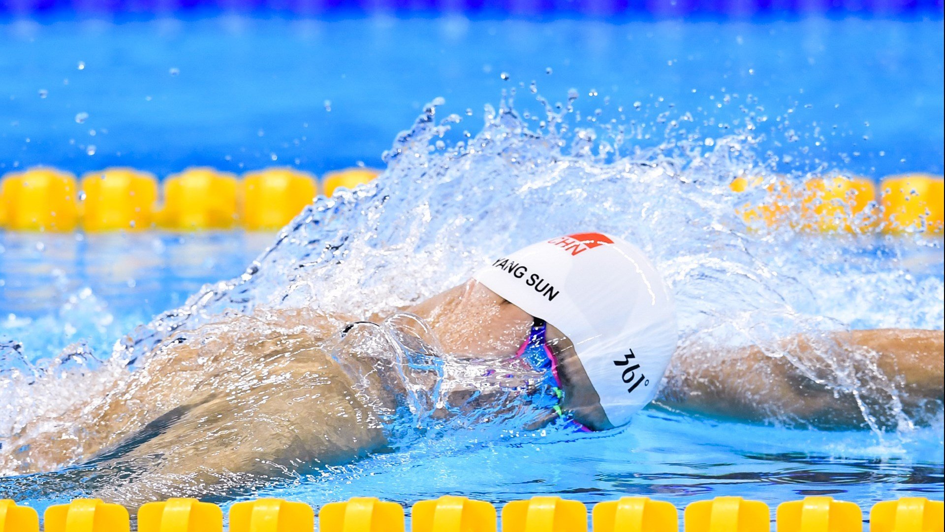 绿茵场与乒乓台的双重奏，葡萄牙横扫瑞典，樊振东关键制胜诠释体育精神的共通内核